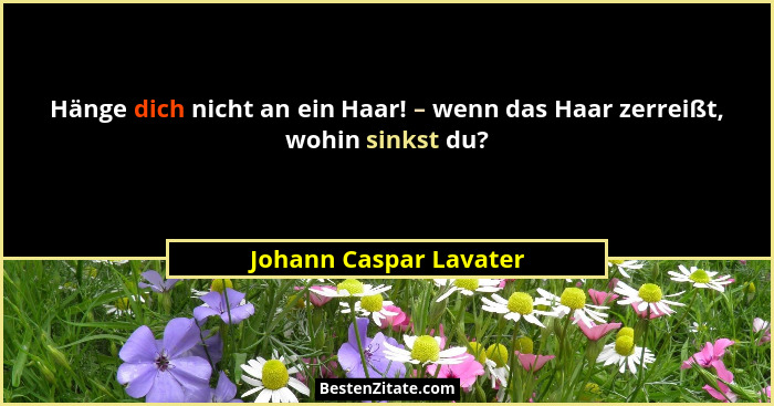 Hänge dich nicht an ein Haar! – wenn das Haar zerreißt, wohin sinkst du?... - Johann Caspar Lavater