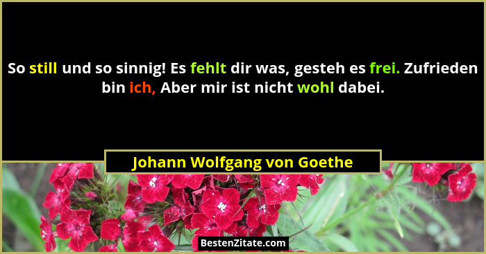 So still und so sinnig! Es fehlt dir was, gesteh es frei. Zufrieden bin ich, Aber mir ist nicht wohl dabei.... - Johann Wolfgang von Goethe