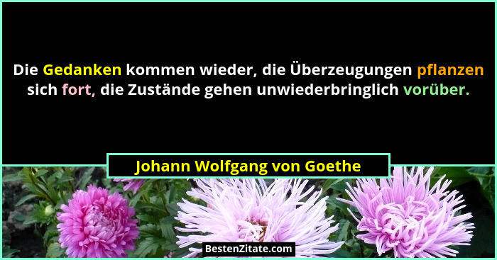 Die Gedanken kommen wieder, die Überzeugungen pflanzen sich fort, die Zustände gehen unwiederbringlich vorüber.... - Johann Wolfgang von Goethe