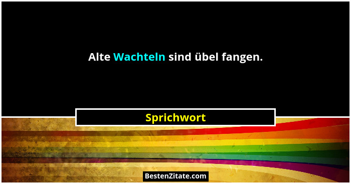 Alte Wachteln sind übel fangen.... - Sprichwort