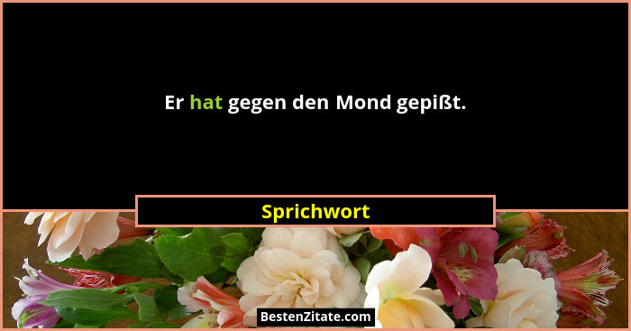 Er hat gegen den Mond gepißt.... - Sprichwort