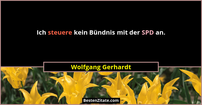 Ich steuere kein Bündnis mit der SPD an.... - Wolfgang Gerhardt