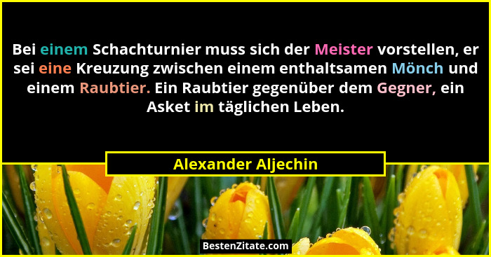 Bei einem Schachturnier muss sich der Meister vorstellen, er sei eine Kreuzung zwischen einem enthaltsamen Mönch und einem Raubti... - Alexander Aljechin