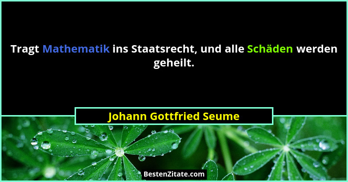 Tragt Mathematik ins Staatsrecht, und alle Schäden werden geheilt.... - Johann Gottfried Seume
