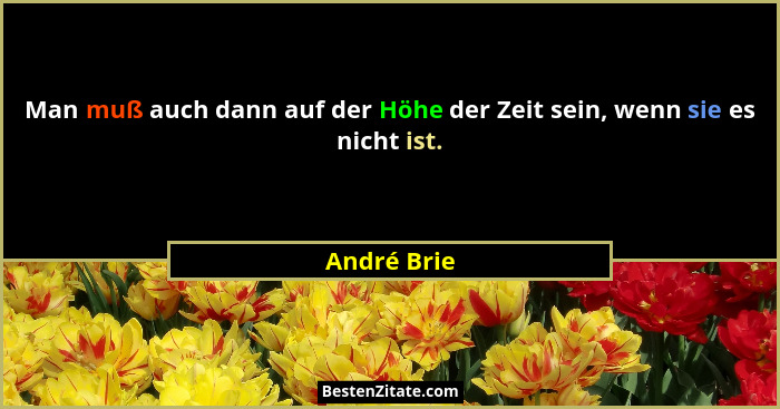 Man muß auch dann auf der Höhe der Zeit sein, wenn sie es nicht ist.... - André Brie