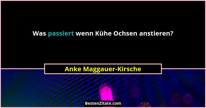 Was passiert wenn Kühe Ochsen anstieren?... - Anke Maggauer-Kirsche