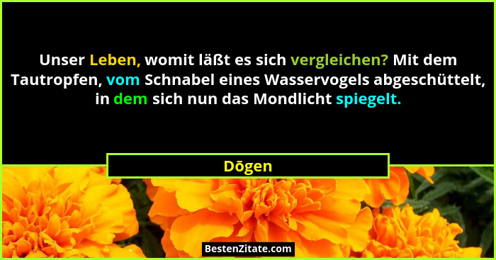 Unser Leben, womit läßt es sich vergleichen? Mit dem Tautropfen, vom Schnabel eines Wasservogels abgeschüttelt, in dem sich nun das Mondlicht... - Dōgen