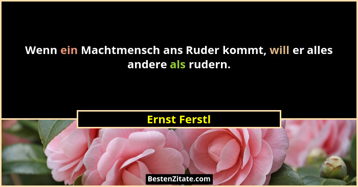 Wenn ein Machtmensch ans Ruder kommt, will er alles andere als rudern.... - Ernst Ferstl
