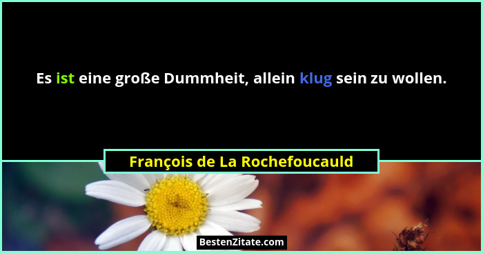 Es ist eine große Dummheit, allein klug sein zu wollen.... - François de La Rochefoucauld