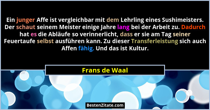 Ein junger Affe ist vergleichbar mit dem Lehrling eines Sushimeisters. Der schaut seinem Meister einige Jahre lang bei der Arbeit zu.... - Frans de Waal