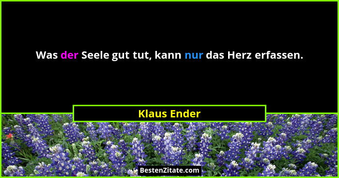 Was der Seele gut tut, kann nur das Herz erfassen.... - Klaus Ender