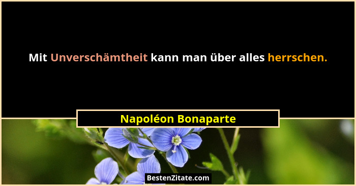 Mit Unverschämtheit kann man über alles herrschen.... - Napoléon Bonaparte