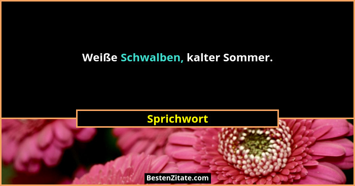 Weiße Schwalben, kalter Sommer.... - Sprichwort