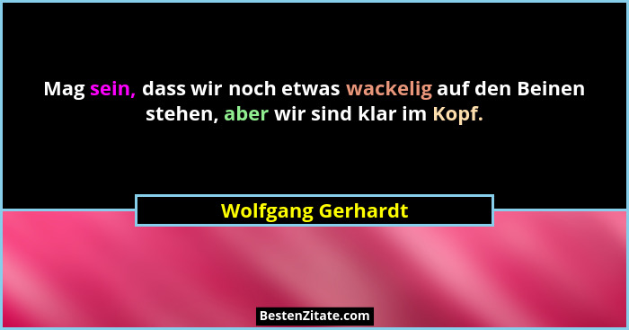 Mag sein, dass wir noch etwas wackelig auf den Beinen stehen, aber wir sind klar im Kopf.... - Wolfgang Gerhardt