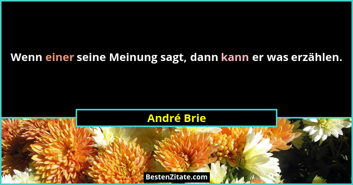 Wenn einer seine Meinung sagt, dann kann er was erzählen.... - André Brie