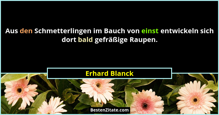 Aus den Schmetterlingen im Bauch von einst entwickeln sich dort bald gefräßige Raupen.... - Erhard Blanck