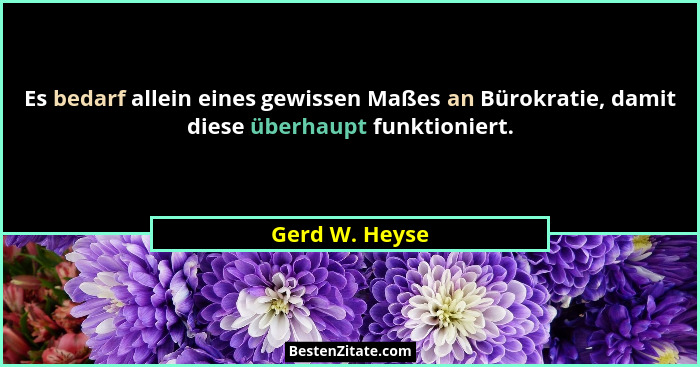 Es bedarf allein eines gewissen Maßes an Bürokratie, damit diese überhaupt funktioniert.... - Gerd W. Heyse