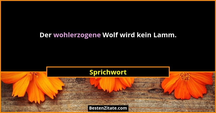 Der wohlerzogene Wolf wird kein Lamm.... - Sprichwort