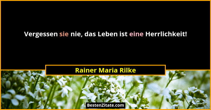 Vergessen sie nie, das Leben ist eine Herrlichkeit!... - Rainer Maria Rilke