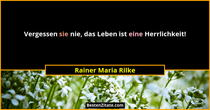 Vergessen sie nie, das Leben ist eine Herrlichkeit!... - Rainer Maria Rilke