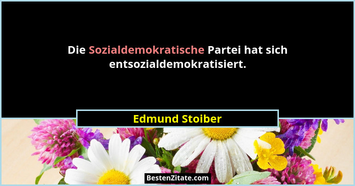 Die Sozialdemokratische Partei hat sich entsozialdemokratisiert.... - Edmund Stoiber