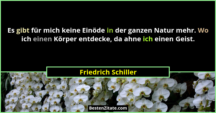 Es gibt für mich keine Einöde in der ganzen Natur mehr. Wo ich einen Körper entdecke, da ahne ich einen Geist.... - Friedrich Schiller