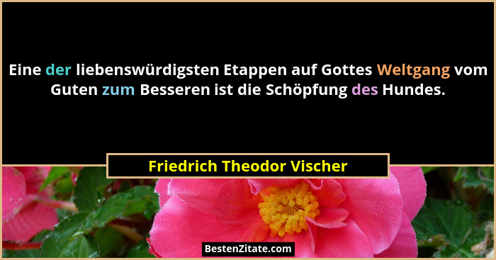 Eine der liebenswürdigsten Etappen auf Gottes Weltgang vom Guten zum Besseren ist die Schöpfung des Hundes.... - Friedrich Theodor Vischer