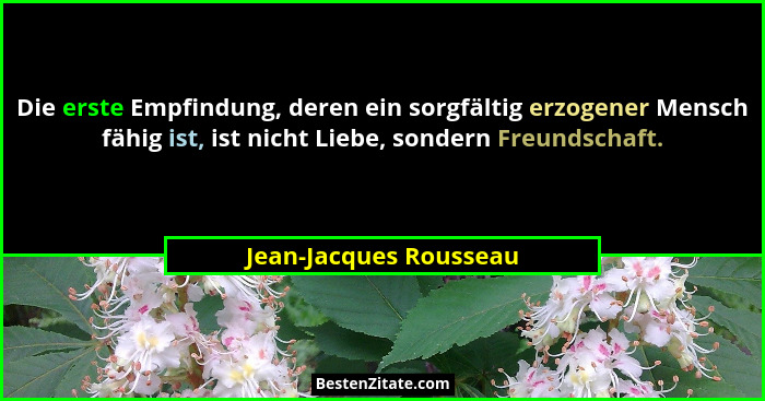 Die erste Empfindung, deren ein sorgfältig erzogener Mensch fähig ist, ist nicht Liebe, sondern Freundschaft.... - Jean-Jacques Rousseau