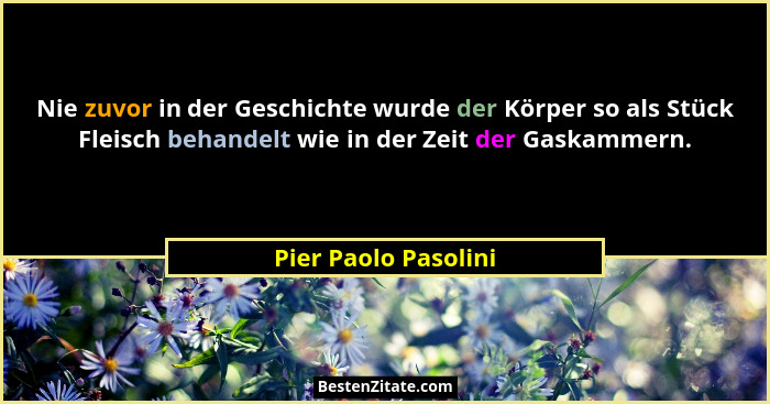 Nie zuvor in der Geschichte wurde der Körper so als Stück Fleisch behandelt wie in der Zeit der Gaskammern.... - Pier Paolo Pasolini