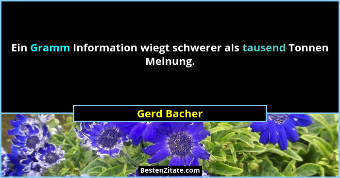 Ein Gramm Information wiegt schwerer als tausend Tonnen Meinung.... - Gerd Bacher