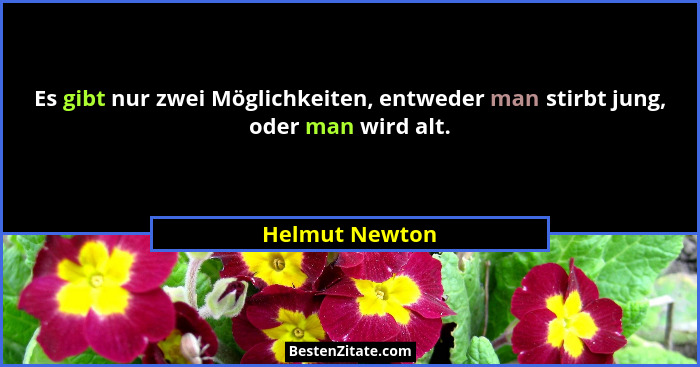 Es gibt nur zwei Möglichkeiten, entweder man stirbt jung, oder man wird alt.... - Helmut Newton