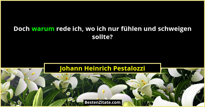 Doch warum rede ich, wo ich nur fühlen und schweigen sollte?... - Johann Heinrich Pestalozzi