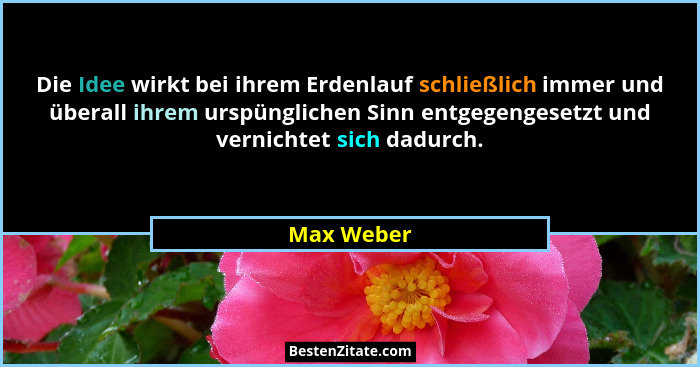 Die Idee wirkt bei ihrem Erdenlauf schließlich immer und überall ihrem urspünglichen Sinn entgegengesetzt und vernichtet sich dadurch.... - Max Weber