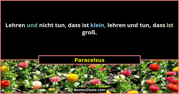 Lehren und nicht tun, dass ist klein, lehren und tun, dass ist groß.... - Paracelsus