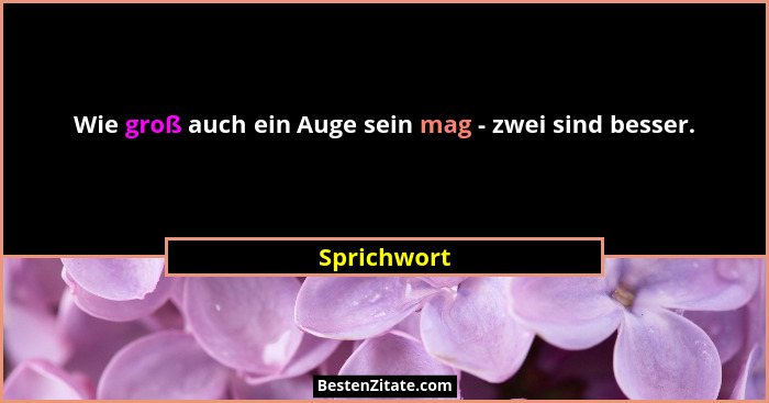 Wie groß auch ein Auge sein mag - zwei sind besser.... - Sprichwort