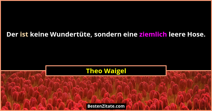 Der ist keine Wundertüte, sondern eine ziemlich leere Hose.... - Theo Waigel