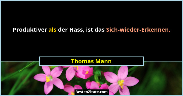 Produktiver als der Hass, ist das Sich-wieder-Erkennen.... - Thomas Mann