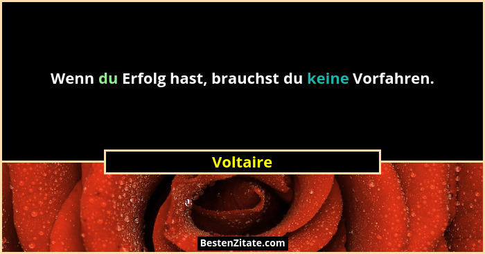 Wenn du Erfolg hast, brauchst du keine Vorfahren.... - Voltaire