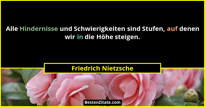 Alle Hindernisse und Schwierigkeiten sind Stufen, auf denen wir in die Höhe steigen.... - Friedrich Nietzsche