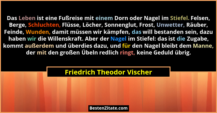 Das Leben ist eine Fußreise mit einem Dorn oder Nagel im Stiefel. Felsen, Berge, Schluchten, Flüsse, Löcher, Sonnenglut, F... - Friedrich Theodor Vischer
