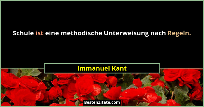 Schule ist eine methodische Unterweisung nach Regeln.... - Immanuel Kant