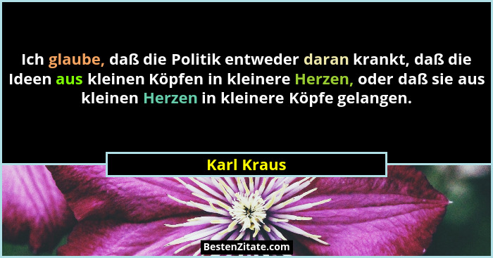 Ich glaube, daß die Politik entweder daran krankt, daß die Ideen aus kleinen Köpfen in kleinere Herzen, oder daß sie aus kleinen Herzen i... - Karl Kraus