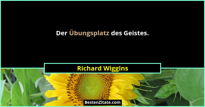Der Übungsplatz des Geistes.... - Richard Wiggins