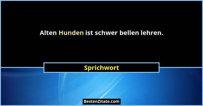Alten Hunden ist schwer bellen lehren.... - Sprichwort