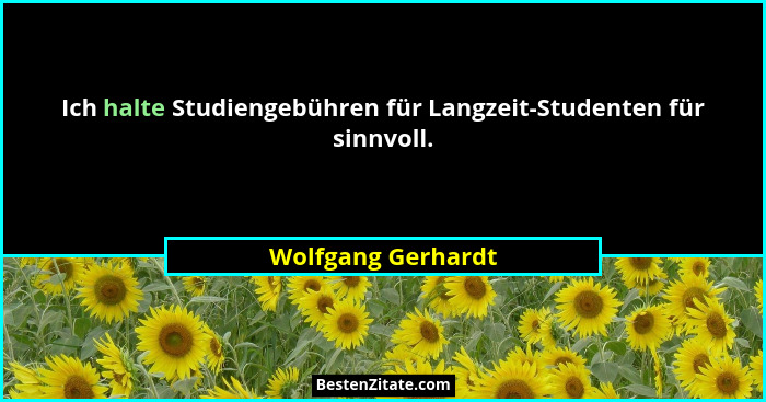 Ich halte Studiengebühren für Langzeit-Studenten für sinnvoll.... - Wolfgang Gerhardt