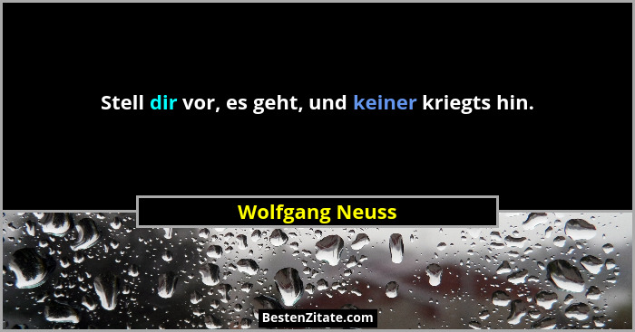 Stell dir vor, es geht, und keiner kriegts hin.... - Wolfgang Neuss