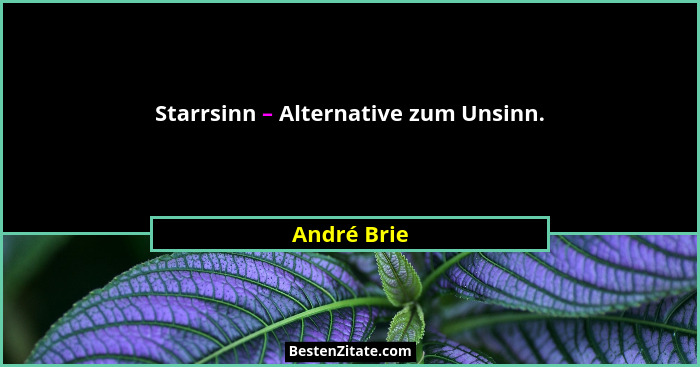 Starrsinn – Alternative zum Unsinn.... - André Brie