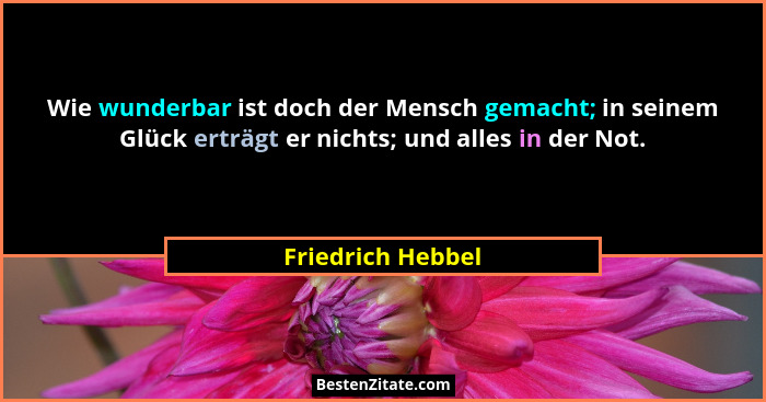 Wie wunderbar ist doch der Mensch gemacht; in seinem Glück erträgt er nichts; und alles in der Not.... - Friedrich Hebbel