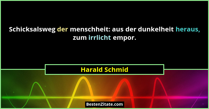 Schicksalsweg der menschheit: aus der dunkelheit heraus, zum irrlicht empor.... - Harald Schmid