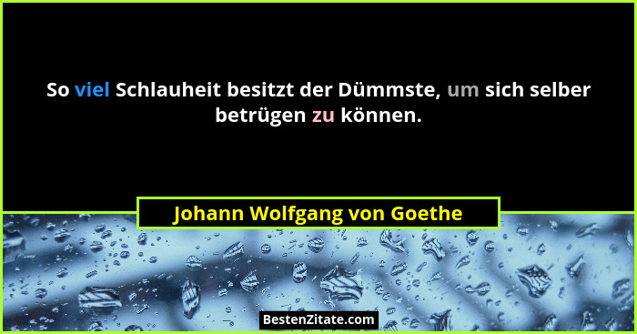 So viel Schlauheit besitzt der Dümmste, um sich selber betrügen zu können.... - Johann Wolfgang von Goethe